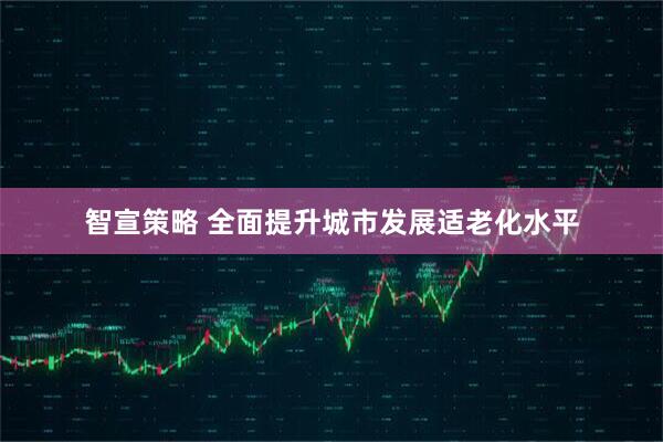 智宣策略 全面提升城市发展适老化水平
