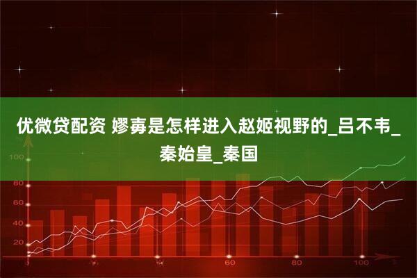优微贷配资 嫪毐是怎样进入赵姬视野的_吕不韦_秦始皇_秦国