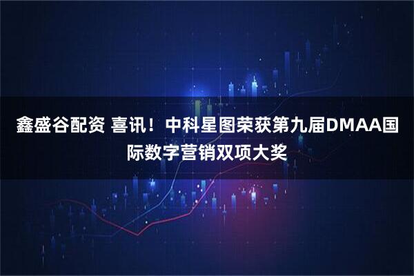 鑫盛谷配资 喜讯！中科星图荣获第九届DMAA国际数字营销双项大奖